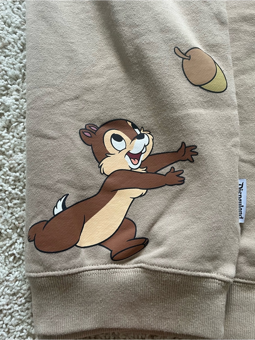 Disney Chip and Dale Crewneck Sweatshirt - Picture 4 of 7